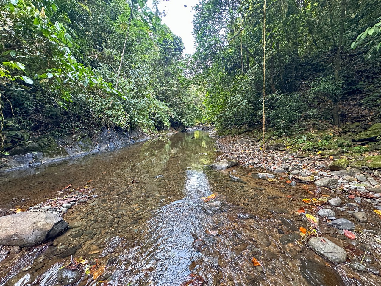 A Huge Rainforest, River & Waterfall Property With TWO Mountain & Jungle-View Luxury Homes on a Massive 4.93 Acre Lot – PLUS an Additional Plantel ready for Development
