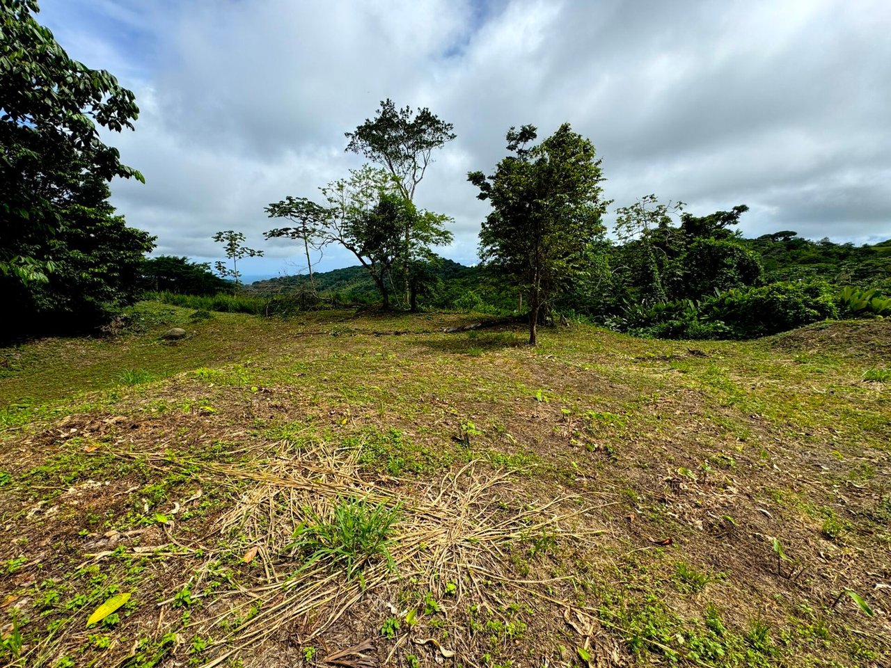 4.76 ACRES – Ocean View Property in Lagunas, Completely Flat And Usable, Commercial Or Residential, Ready To Build!!!