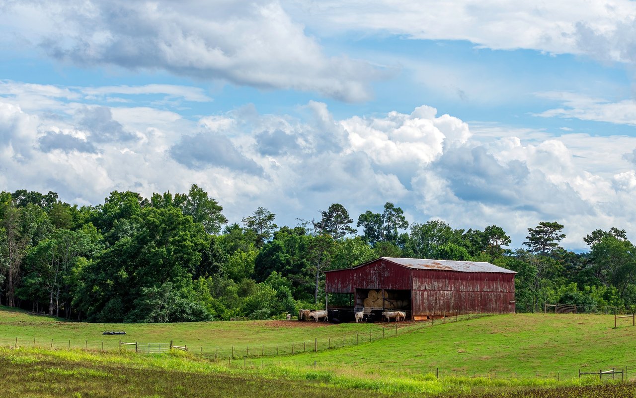 Red barn and cattle in a fenced green pasture beneath a wide, cloudy sky.