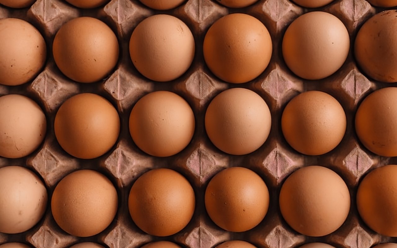 Egg Yolks are Orange, What? The Beauty of Farm Fresh Eggs