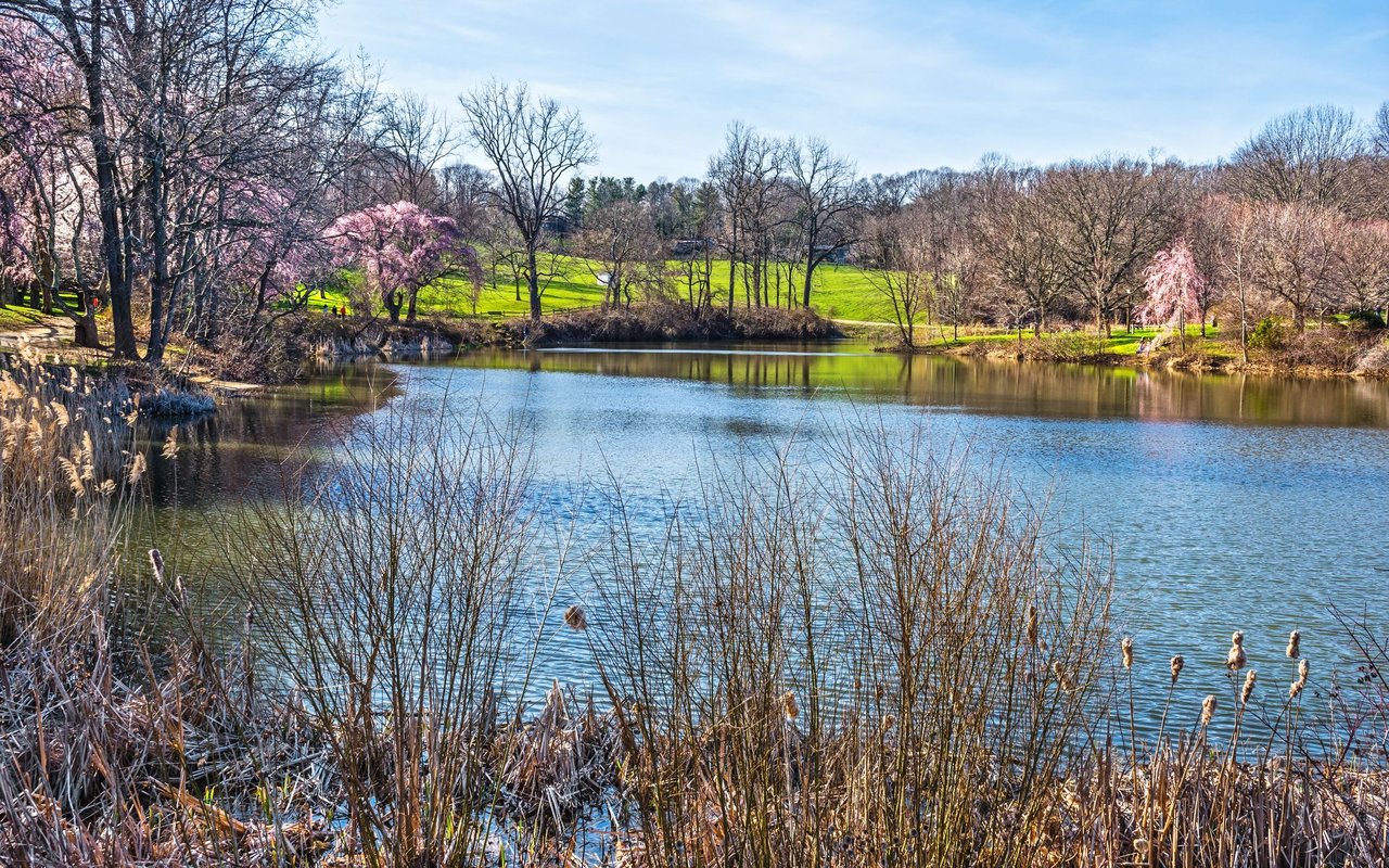 Holmdel