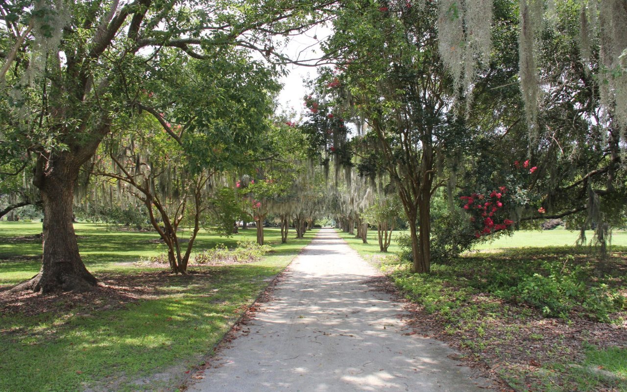 William Means’ Guide to Exploring Charleston Parks