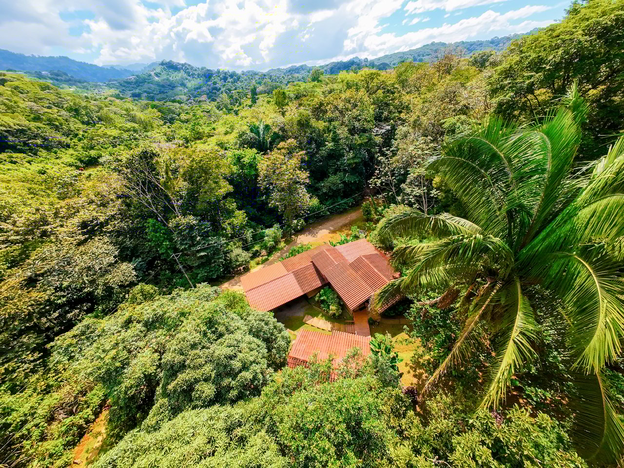 Serene Jungle Home + Guest Cabin on 3 Acres and River