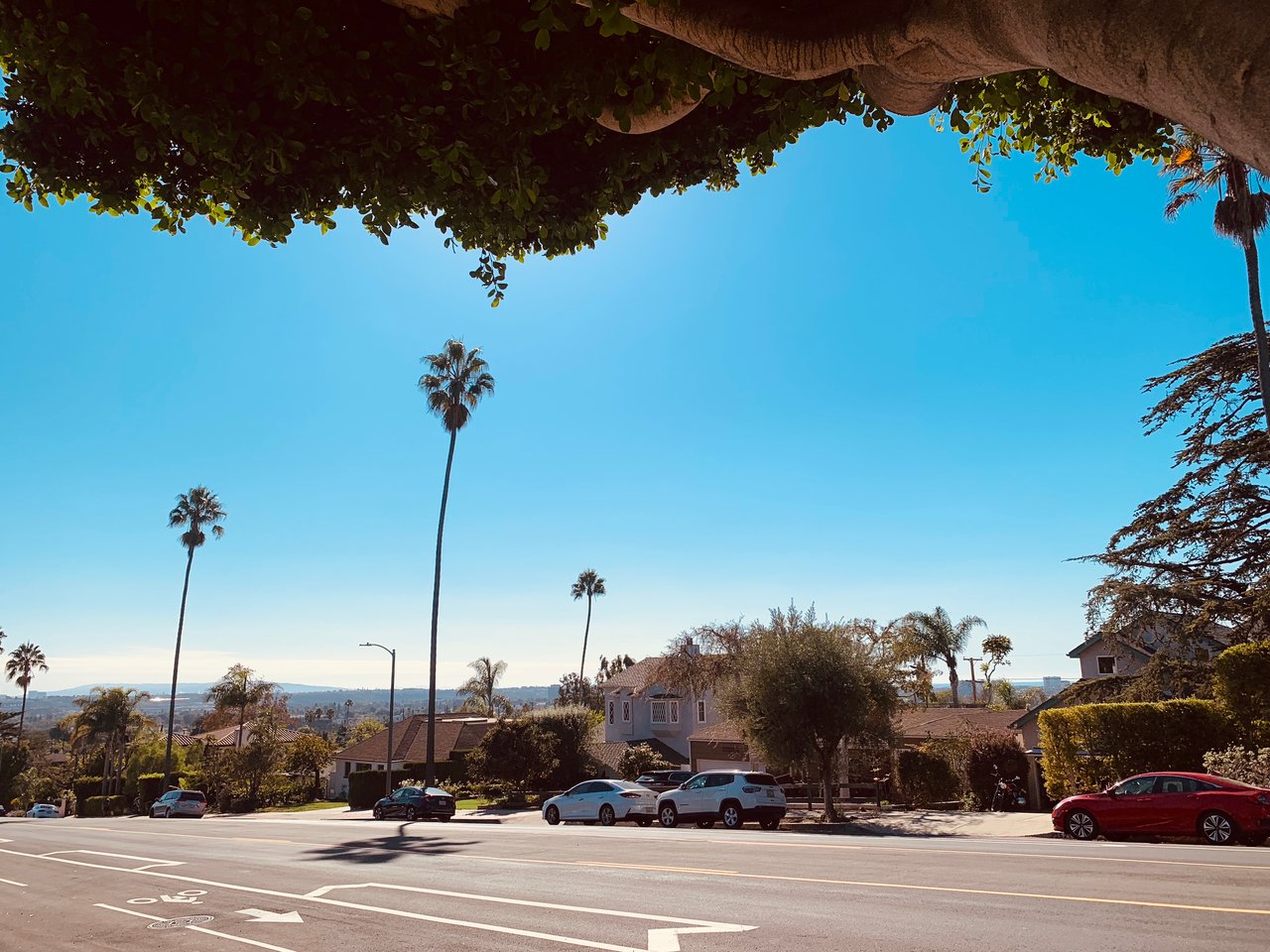 What Questions Should You Ask Before Hiring a Real Estate Agent in Los Angeles?