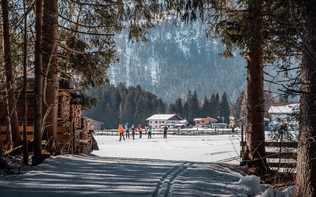 Cross-country skiers traverse a snowy field beneath a forested mountain.