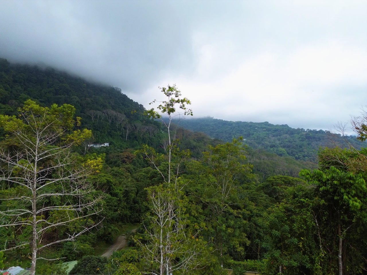 Build-Ready Ocean View Lot in Uvita Hills