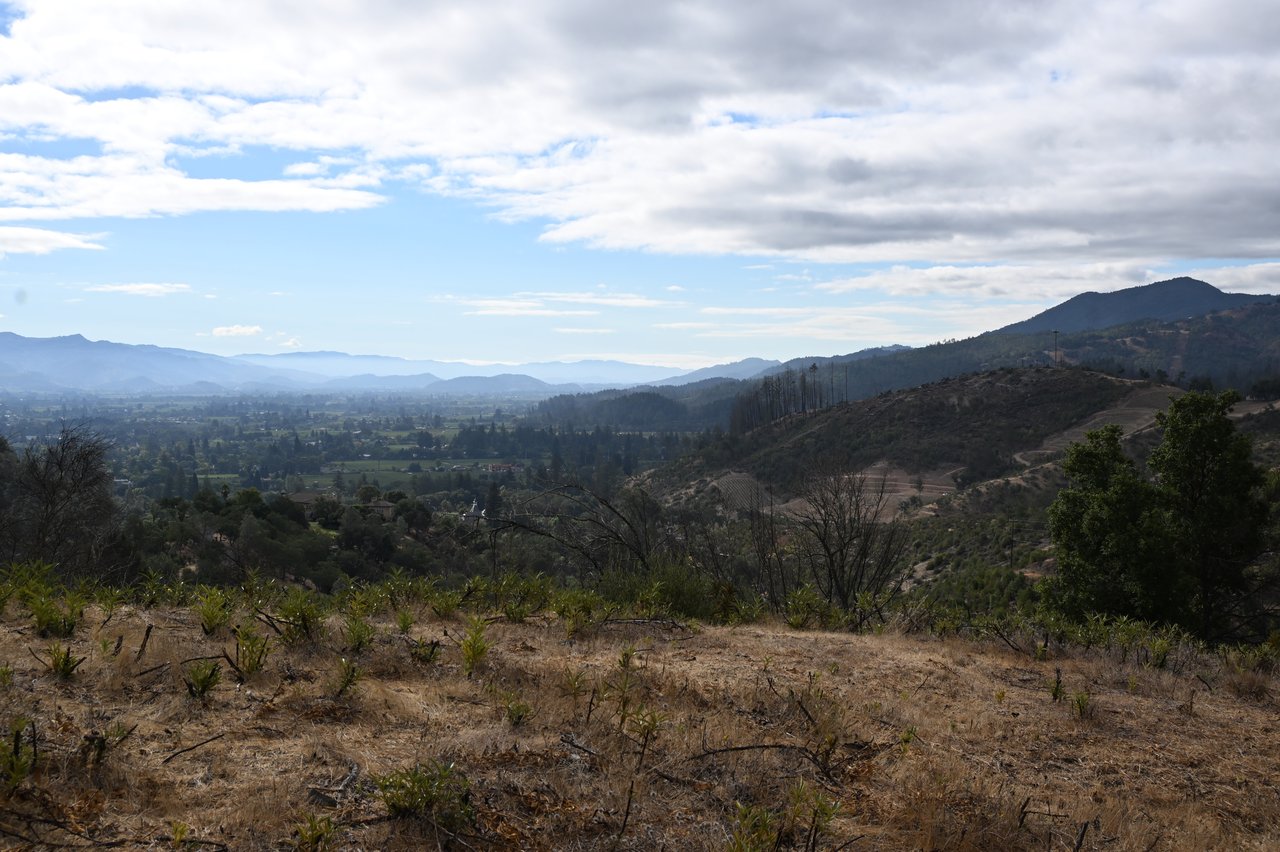 2910 Spring Mountain Rd