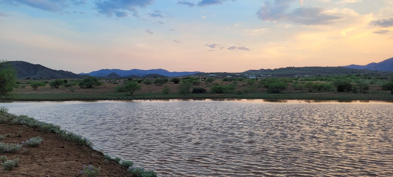 Blue Bell Quarter Horses