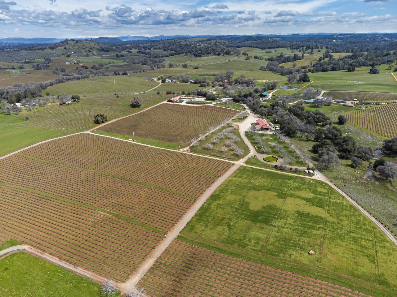 Cooper Vineyards - Barbera's Legacy Continues In the Heart of Shenandoah Valley