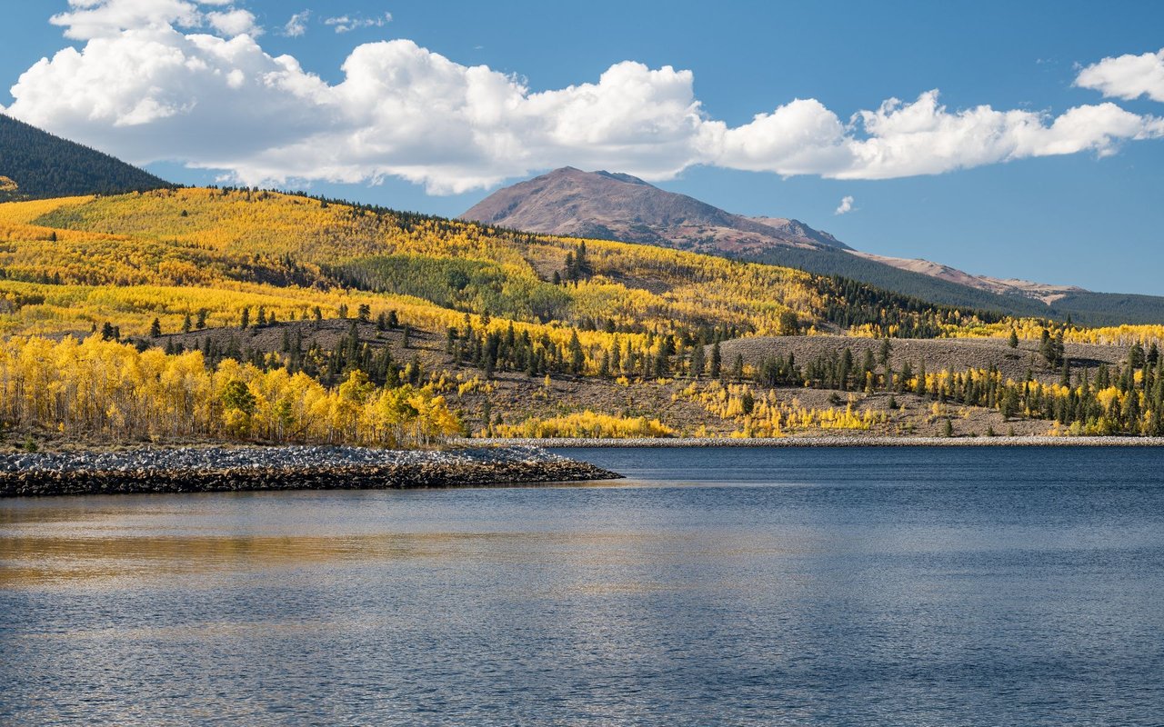 Latigo in Elbert
