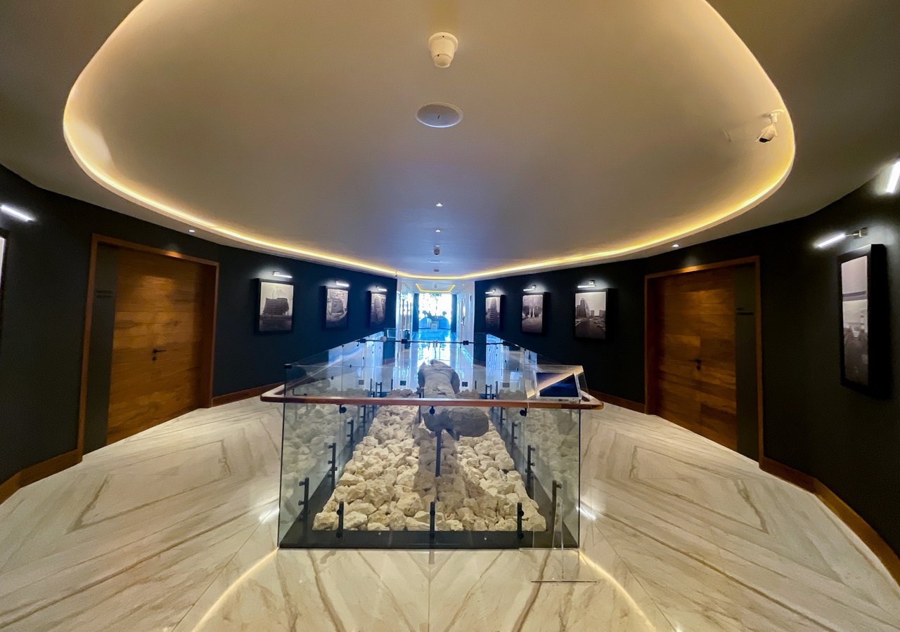 Shark Tower Puerto Cancún