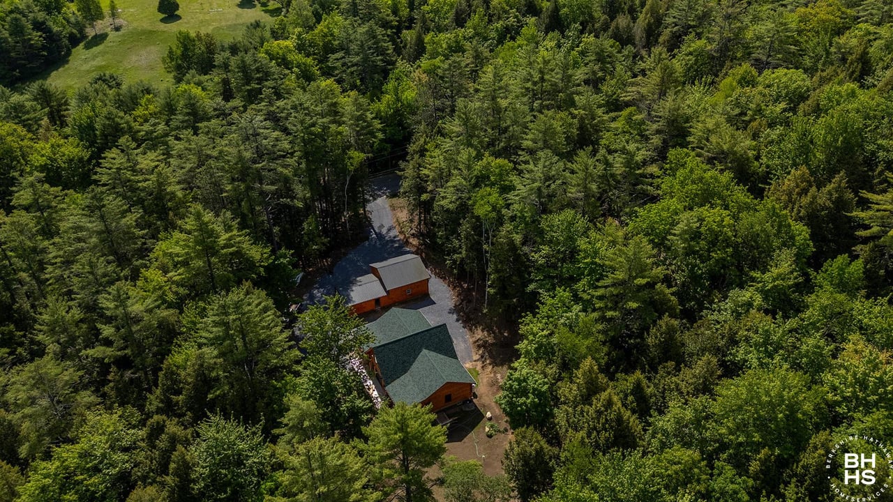 Two buildings sit among dense summer forest, with a gravel driveway winding between them.