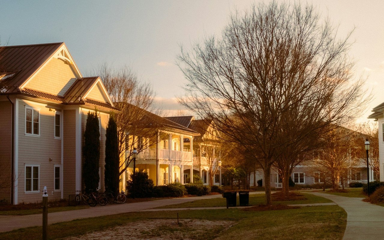 Belle Meade