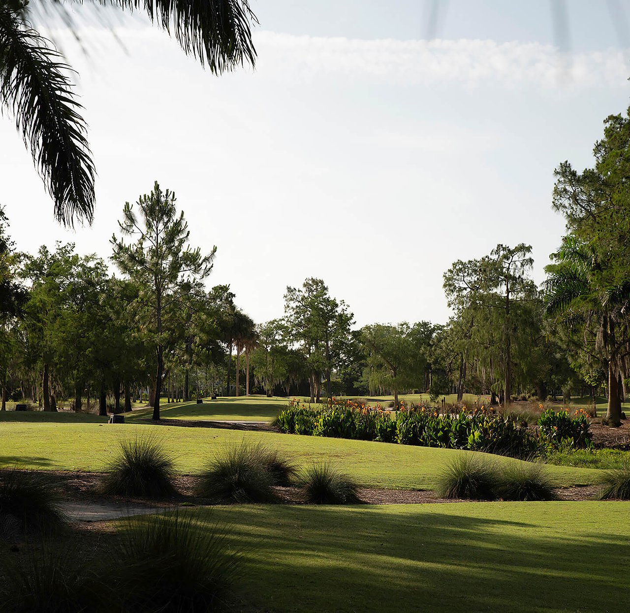 Quail Creek