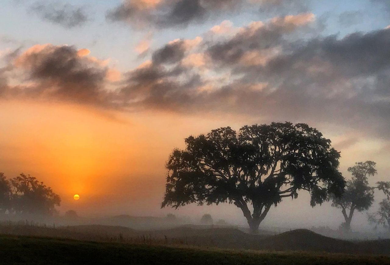 What’s Happening in Colleton River’s Real Estate Market Now?