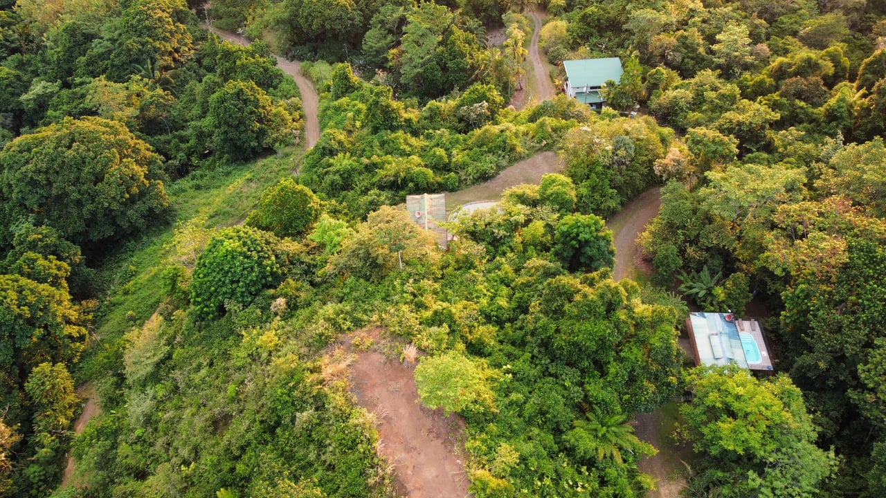 Villa Vista Hermosa | Nature refuge near Manuel Antonio National Park