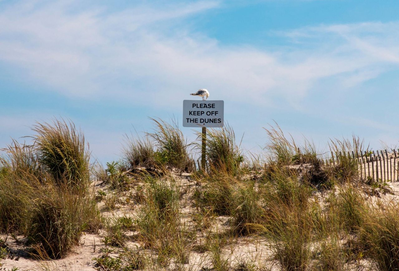 Short-Term vs. Long-Term Rentals on Fire Island: Which Is Right for You?