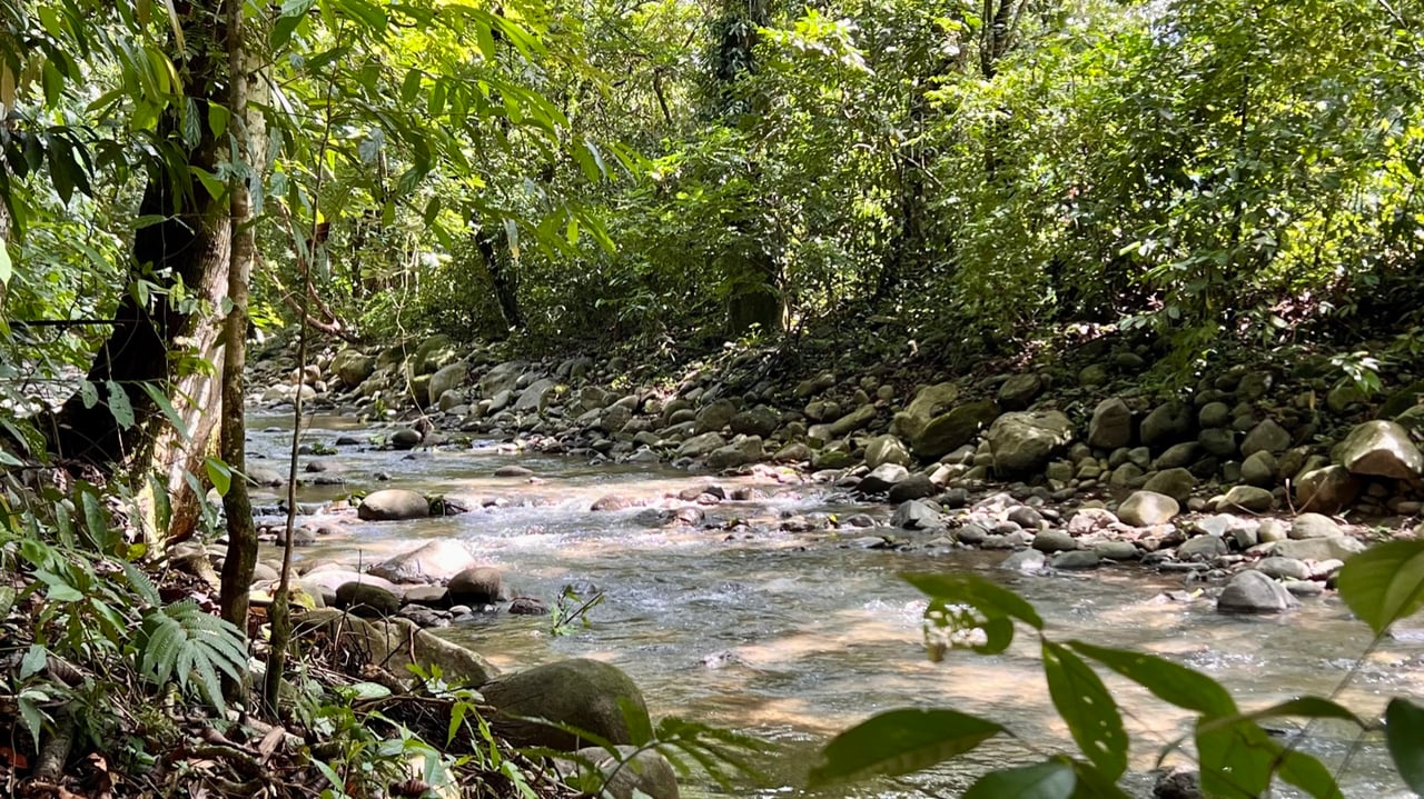 Tropical River Property with Cabinas, Pool & Event Space in Ojochal