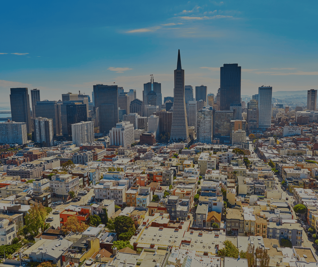 San Francisco Market Update - November 2024