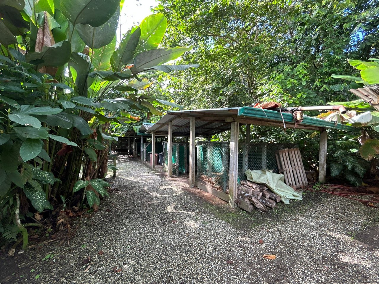 60 Acre Fully Sustainable and Impactful Conservation Initiative Near Golfito