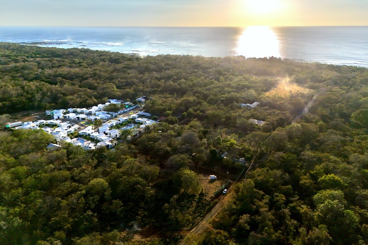 Simbiosis at Playa Avellanas: An Exclusive Gated Community Steps From The Beach 