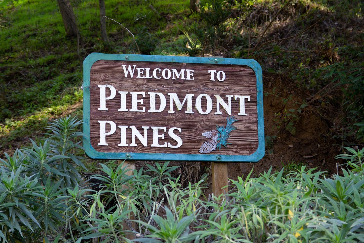 Piedmont Pines