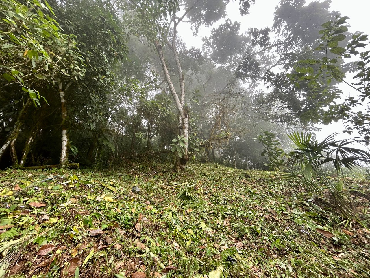 The Last of Its Kind Property in San Luis de Morete, Over 1.53 Acres