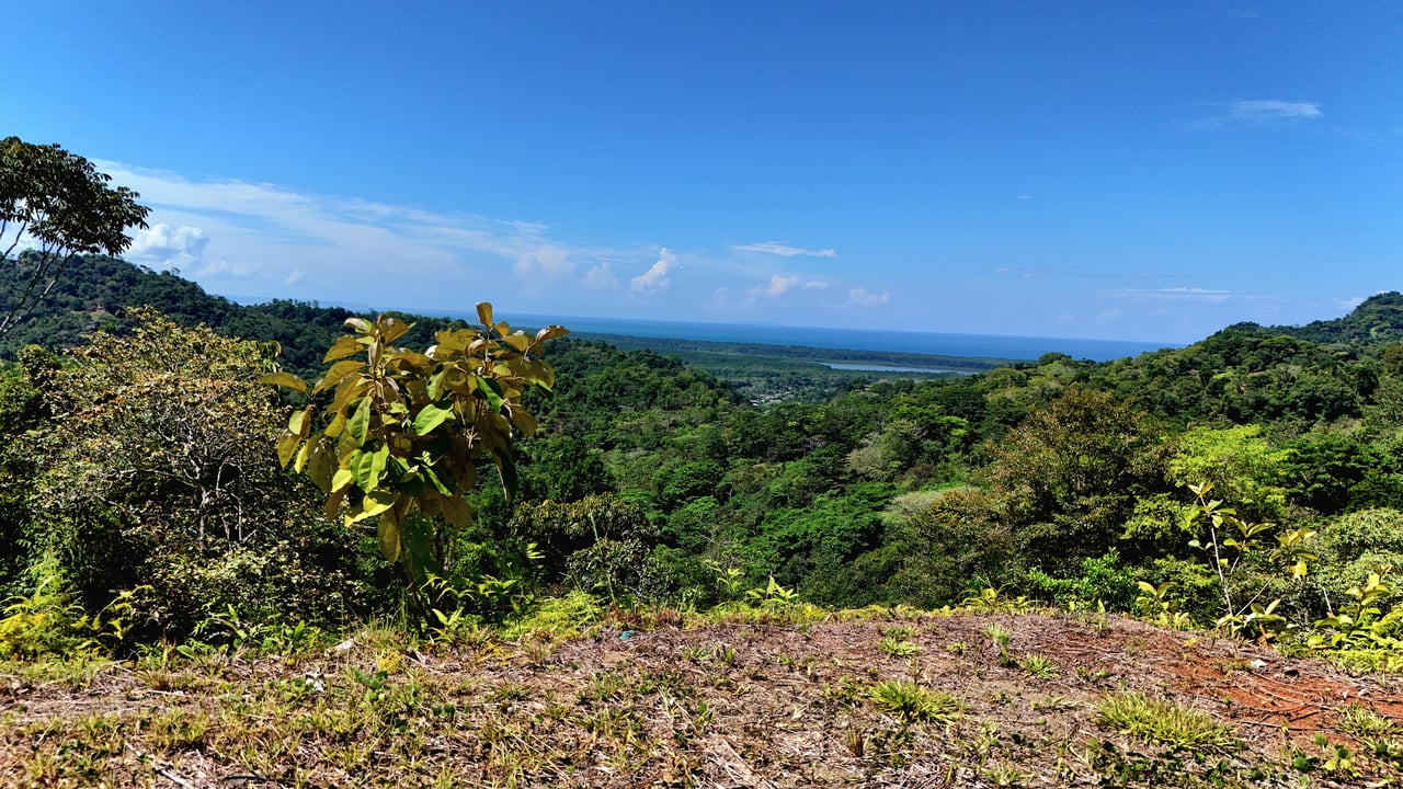 Ocean View Property with River & Waterfall Access – Tres Ríos de Osa