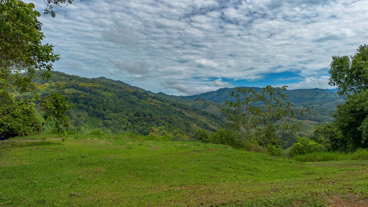 60 Hectares in Platanillo 