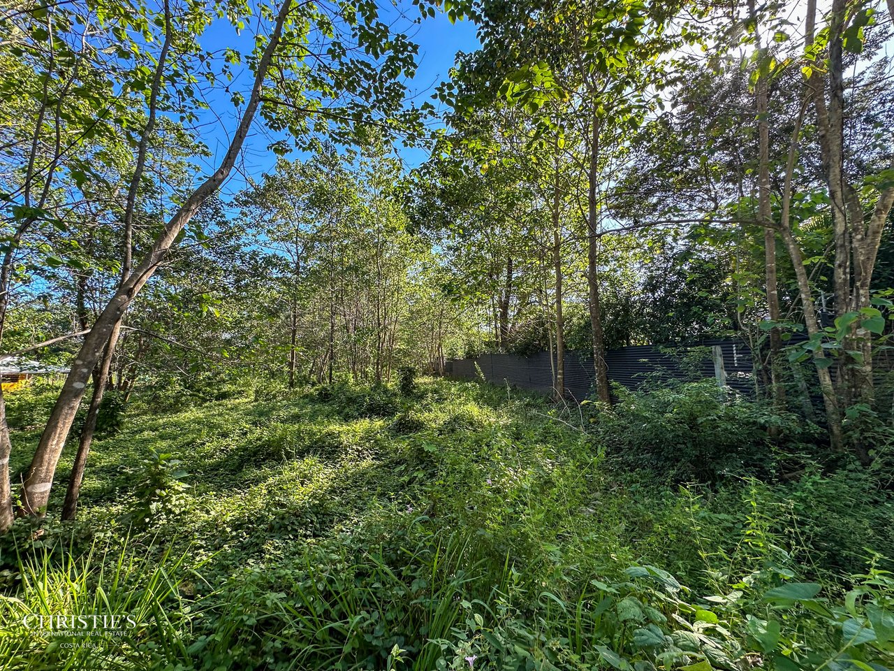 Prime Lot in Playa Avellanas — Walk to the Beach