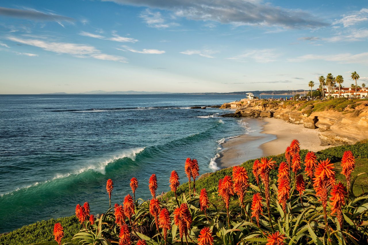 La Jolla Market Report November 2025