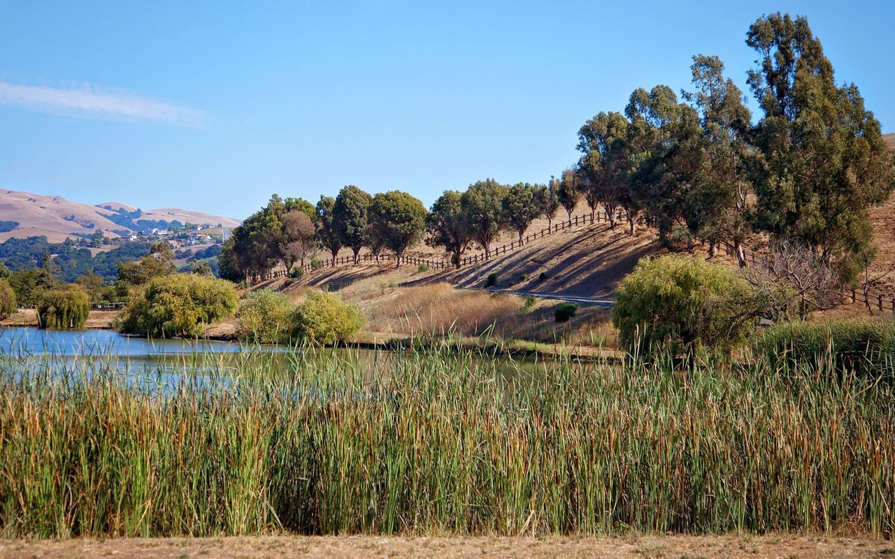 Milpitas