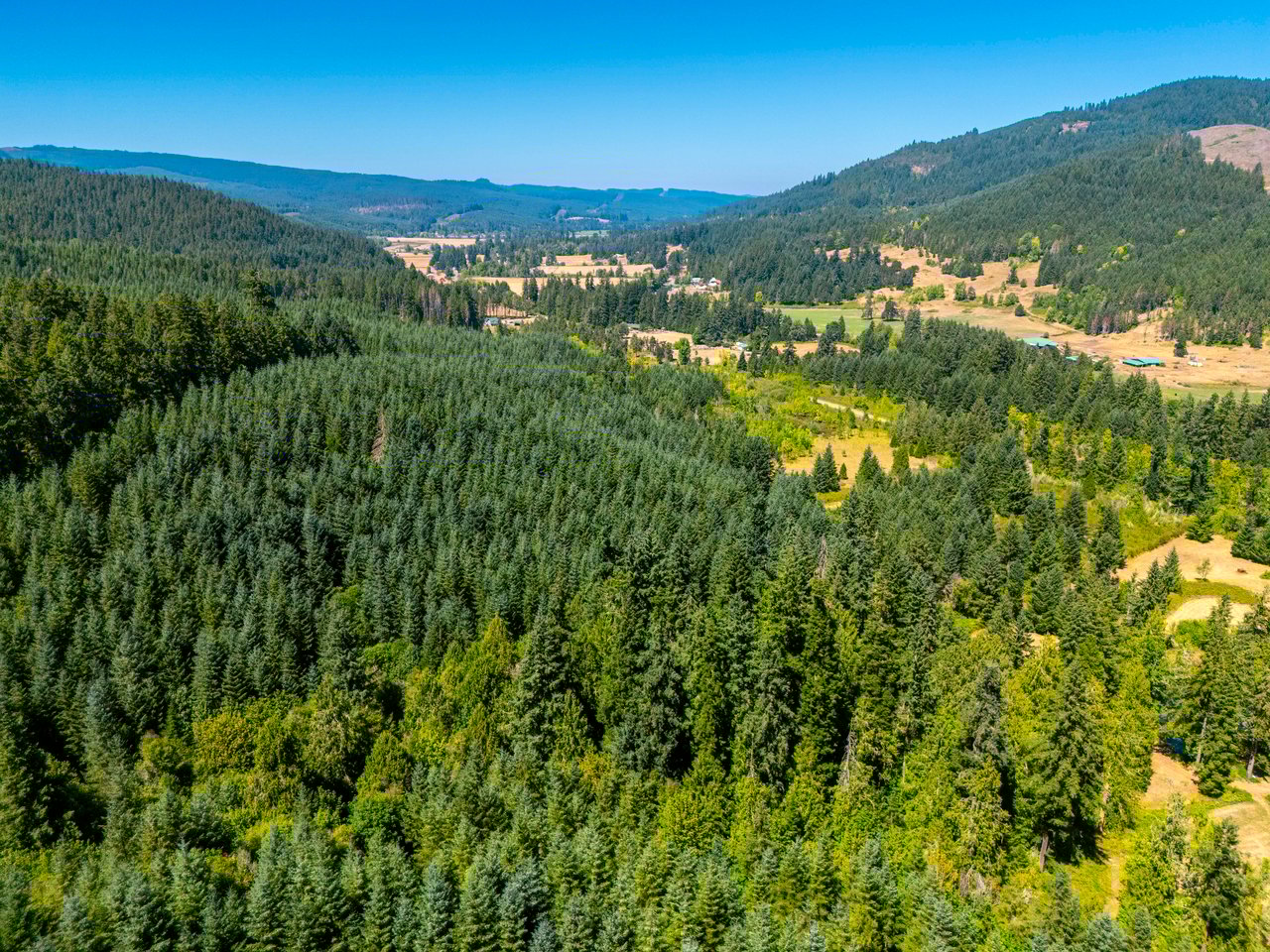 Coast Fork Woodland Meadows