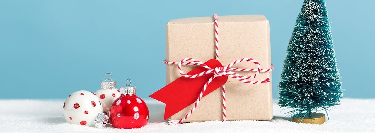 Wrapped gift with a red bow beside Christmas ornaments and a frosted tree in snow.
