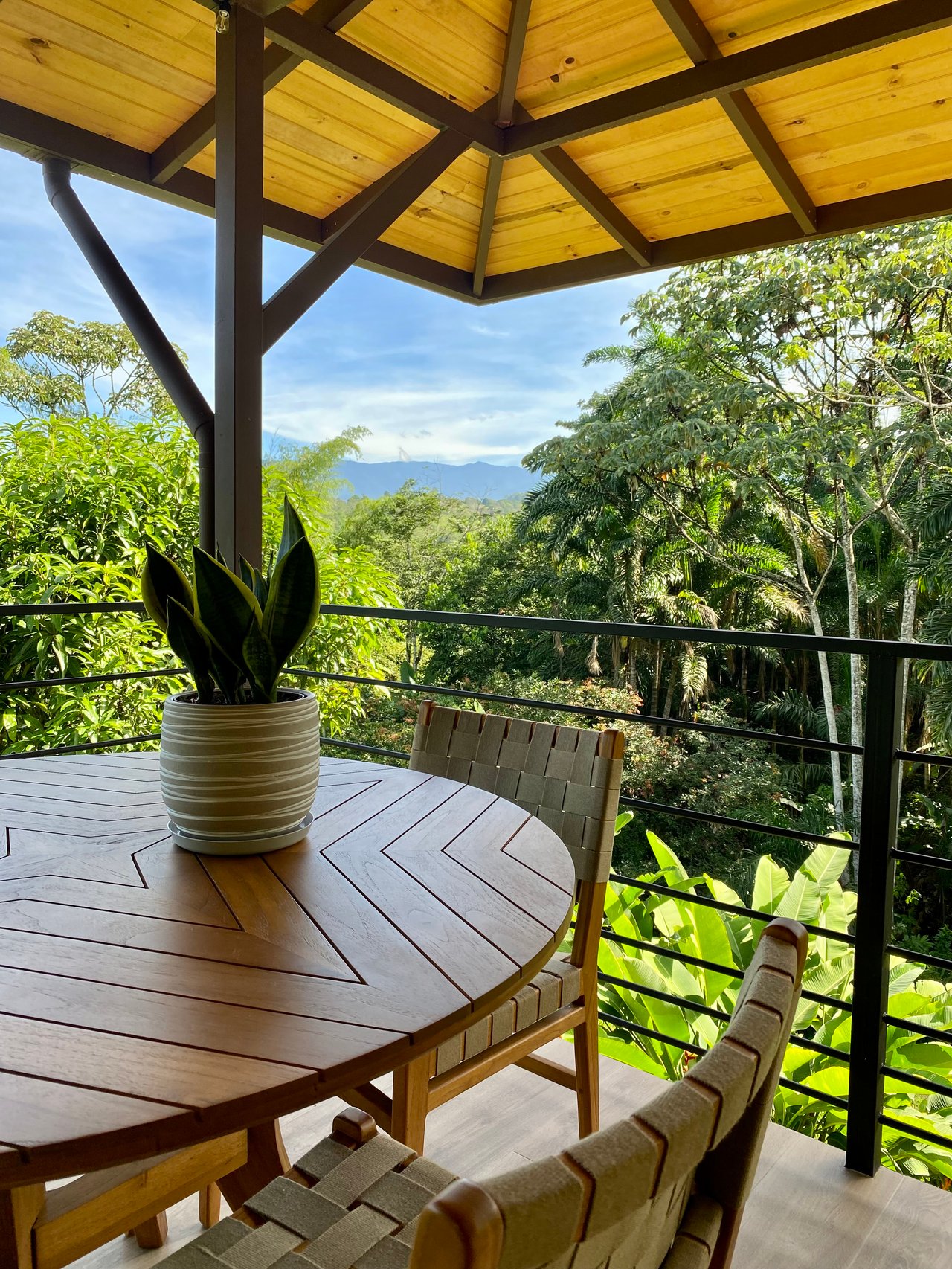 Mountain Oasis with House and Guest Cabin in Las Brisas, San Vito 