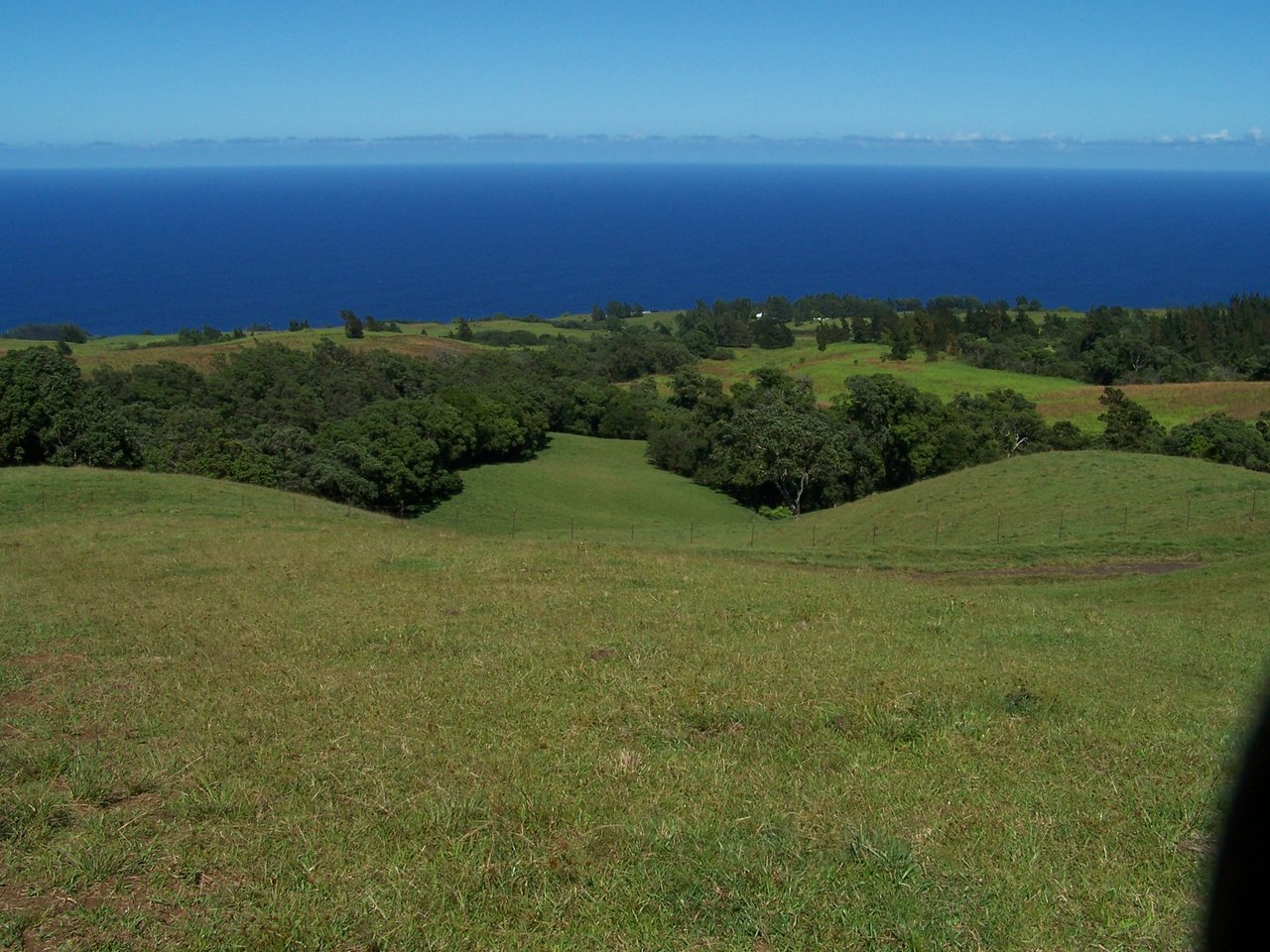 HAMAKUA COAST BIG ISLAND