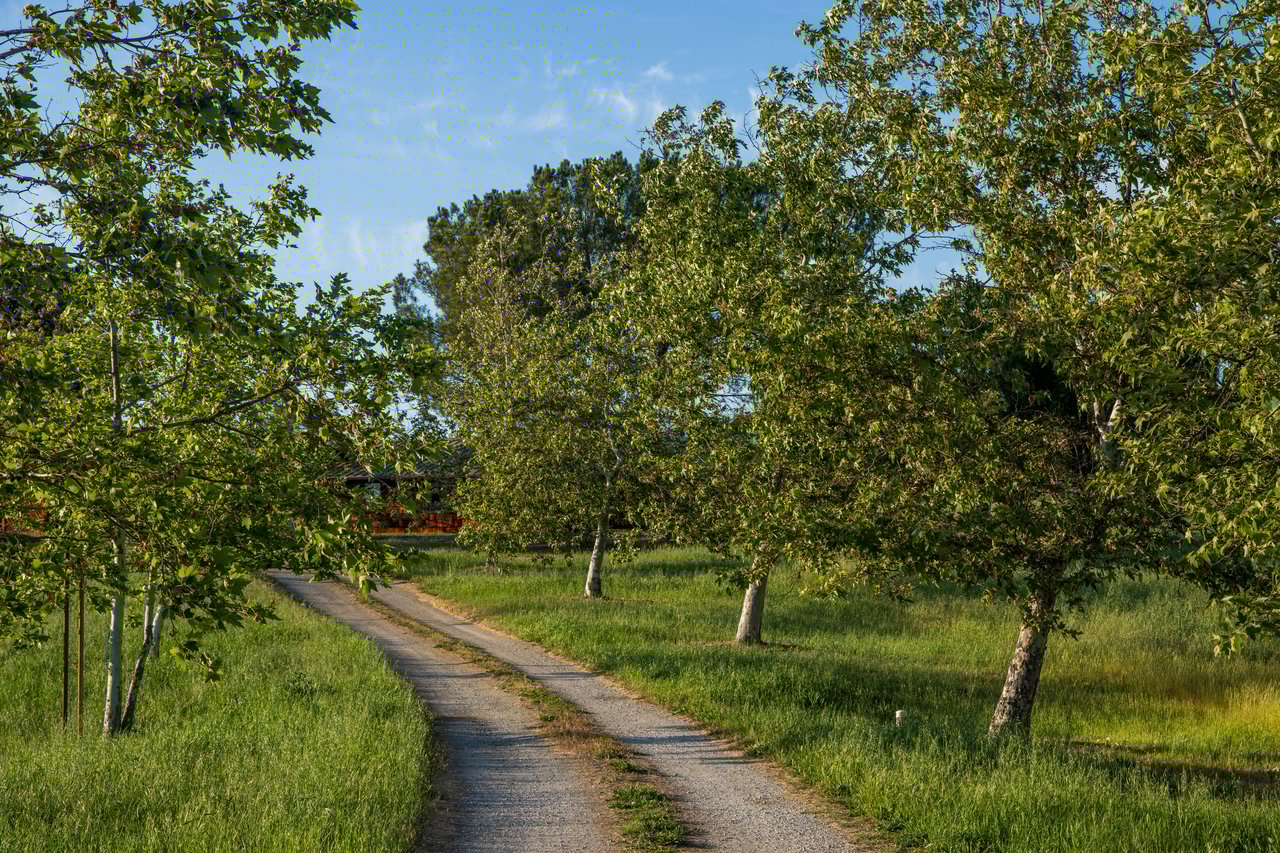 Rancho Estates Opportunity