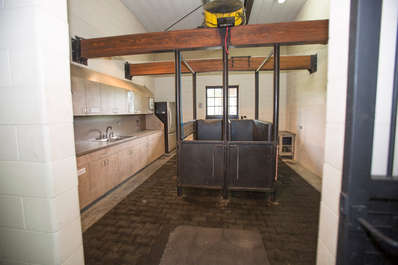 Equestrian Estate at 411 New Hope Church Road