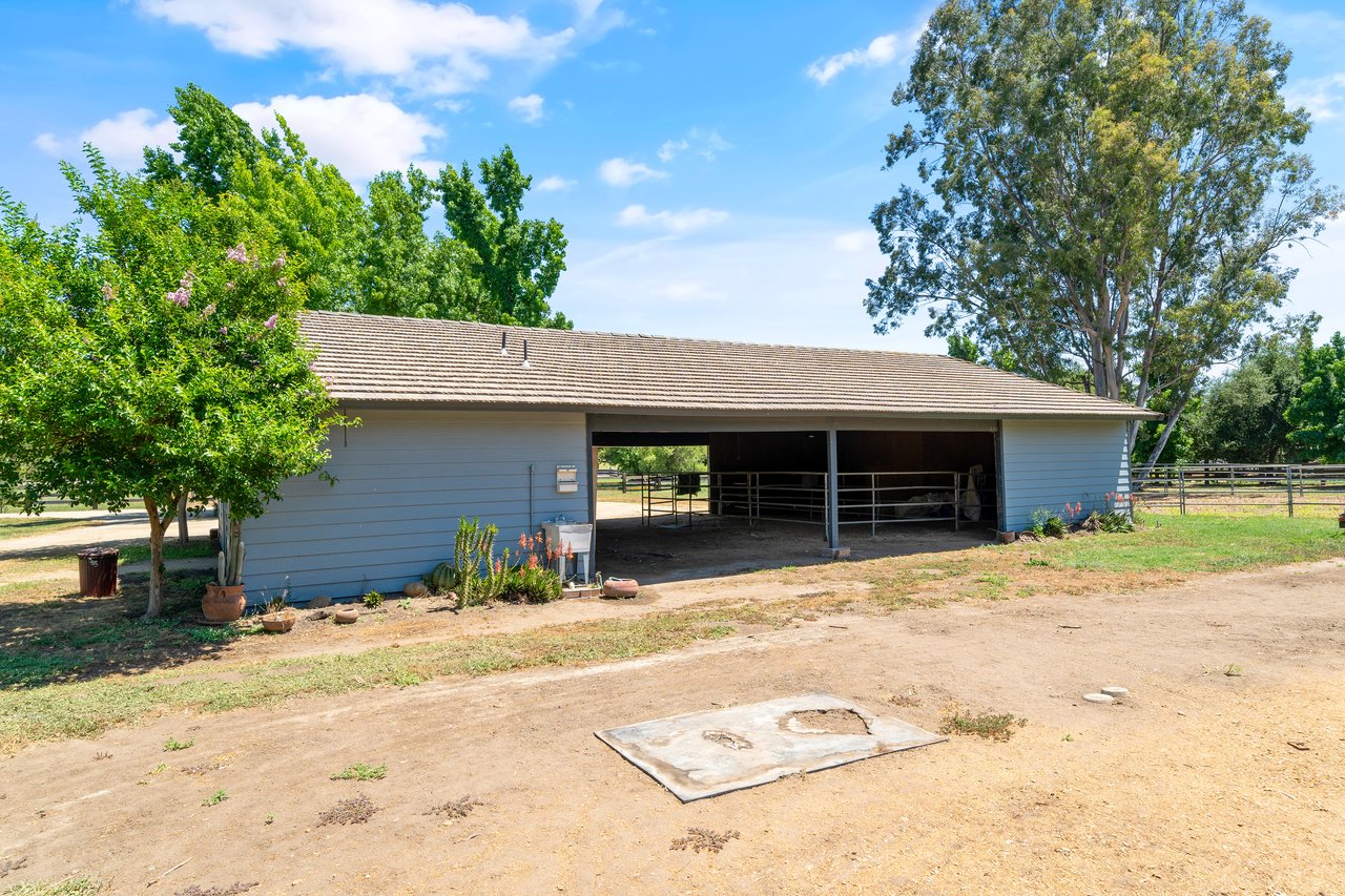 37797 Calle De Lobo