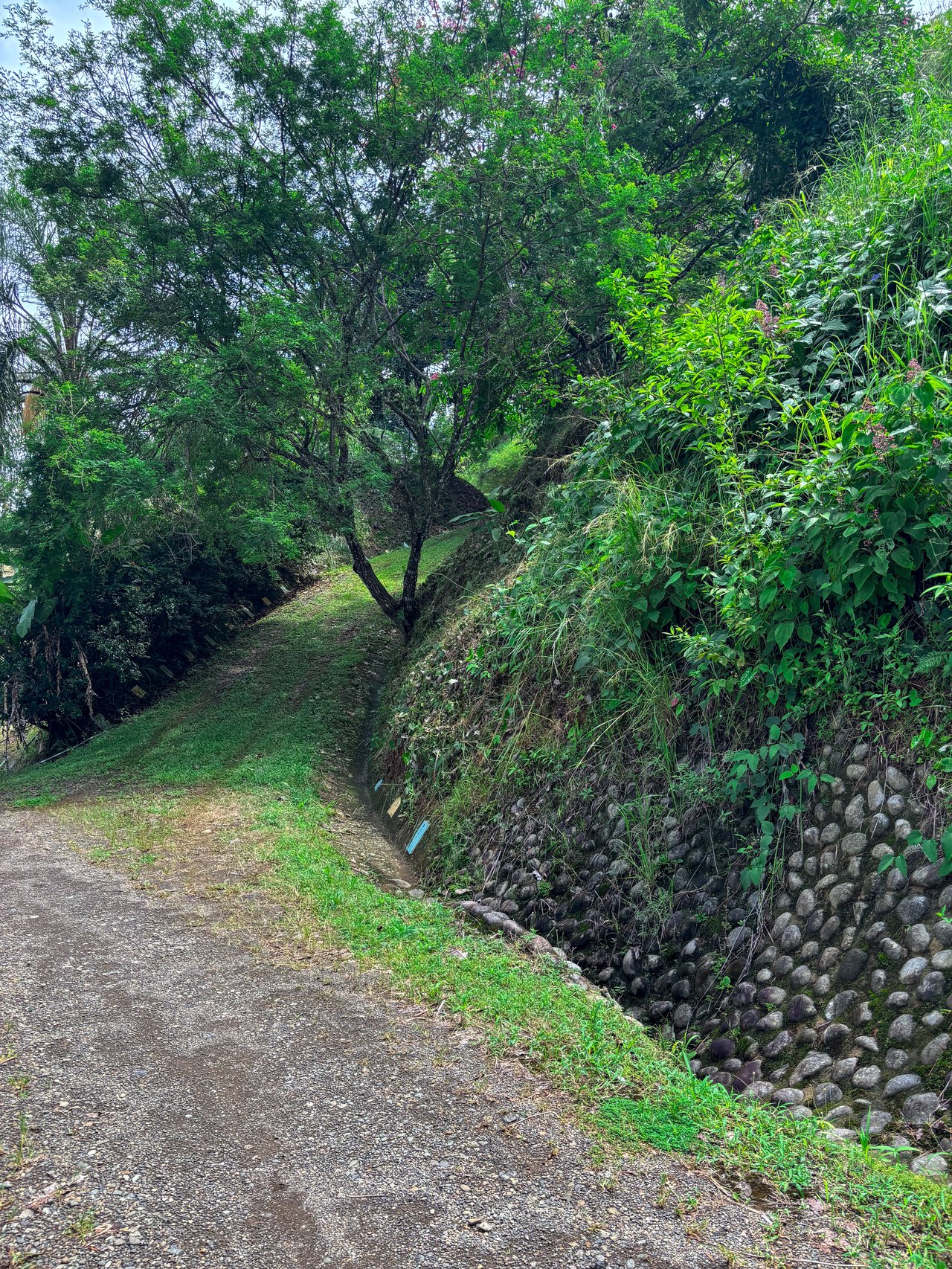 3.6 Acre Ocean View, Near the Beach & Cool Mountain Elevation