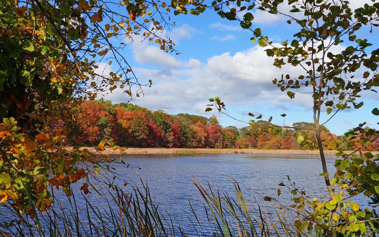 Exploring the Enchanting Charms of Northwest Wisconsin: A Nature Lover’s Paradise