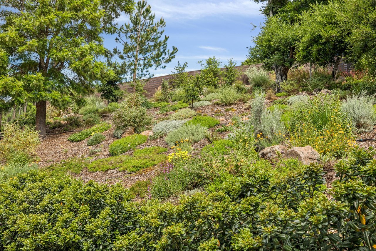 50 Altamont Avenue, Mill Valley