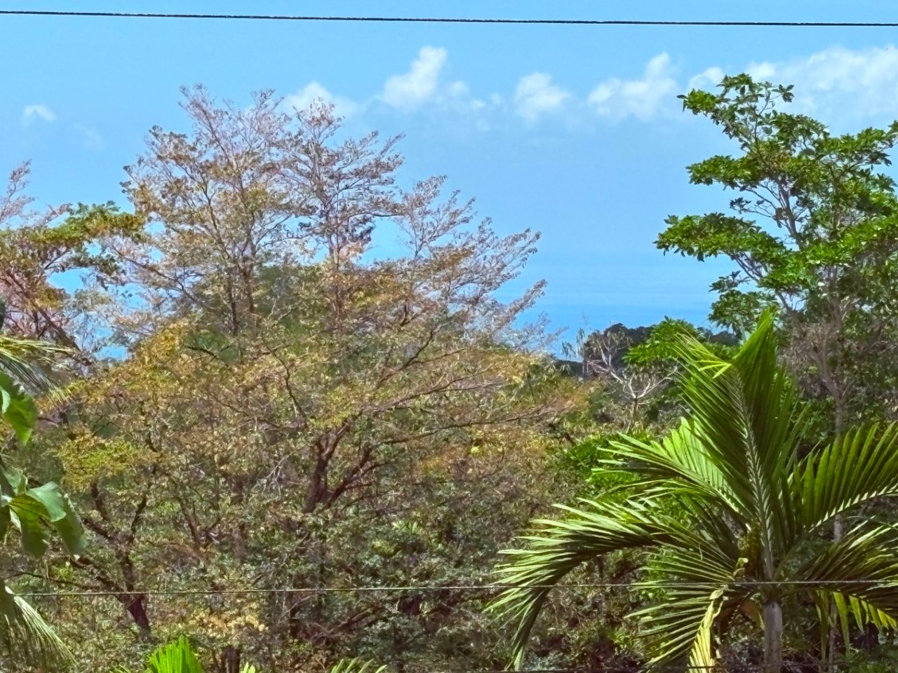 Move in ready 2 bedroom / 2 bathroom home with window ocean view and pool in Ojochal.