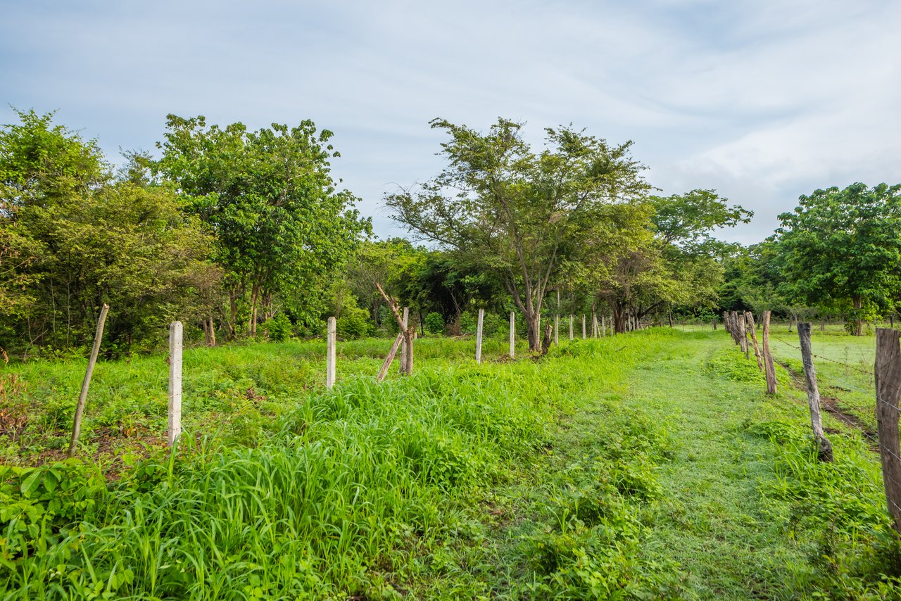 La Garita de Tamarindo Lot |1.3-Acre Home Site Near Top Beaches, Private, Scenic, and Well-Located