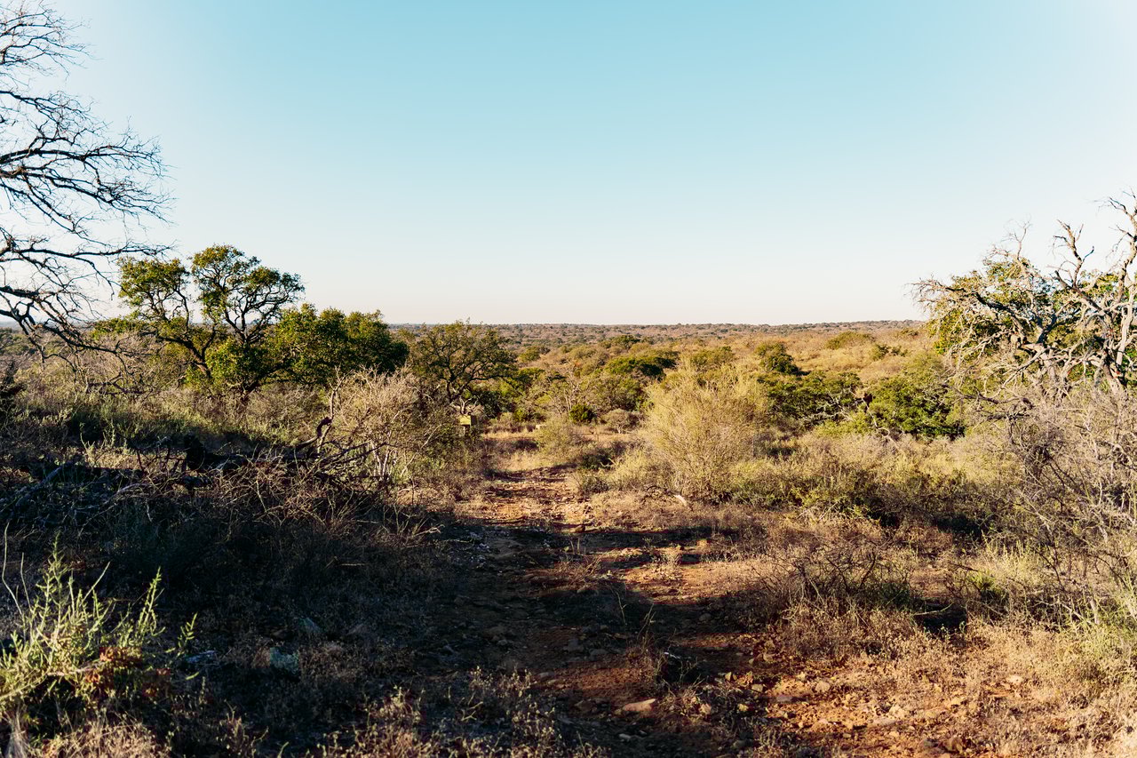510 Carls Pass Llano County 378 Acres