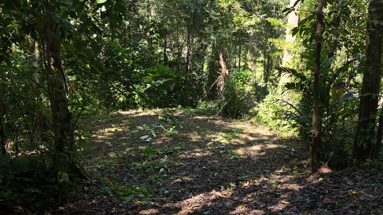 1.4-acre gated lot in Uvita.