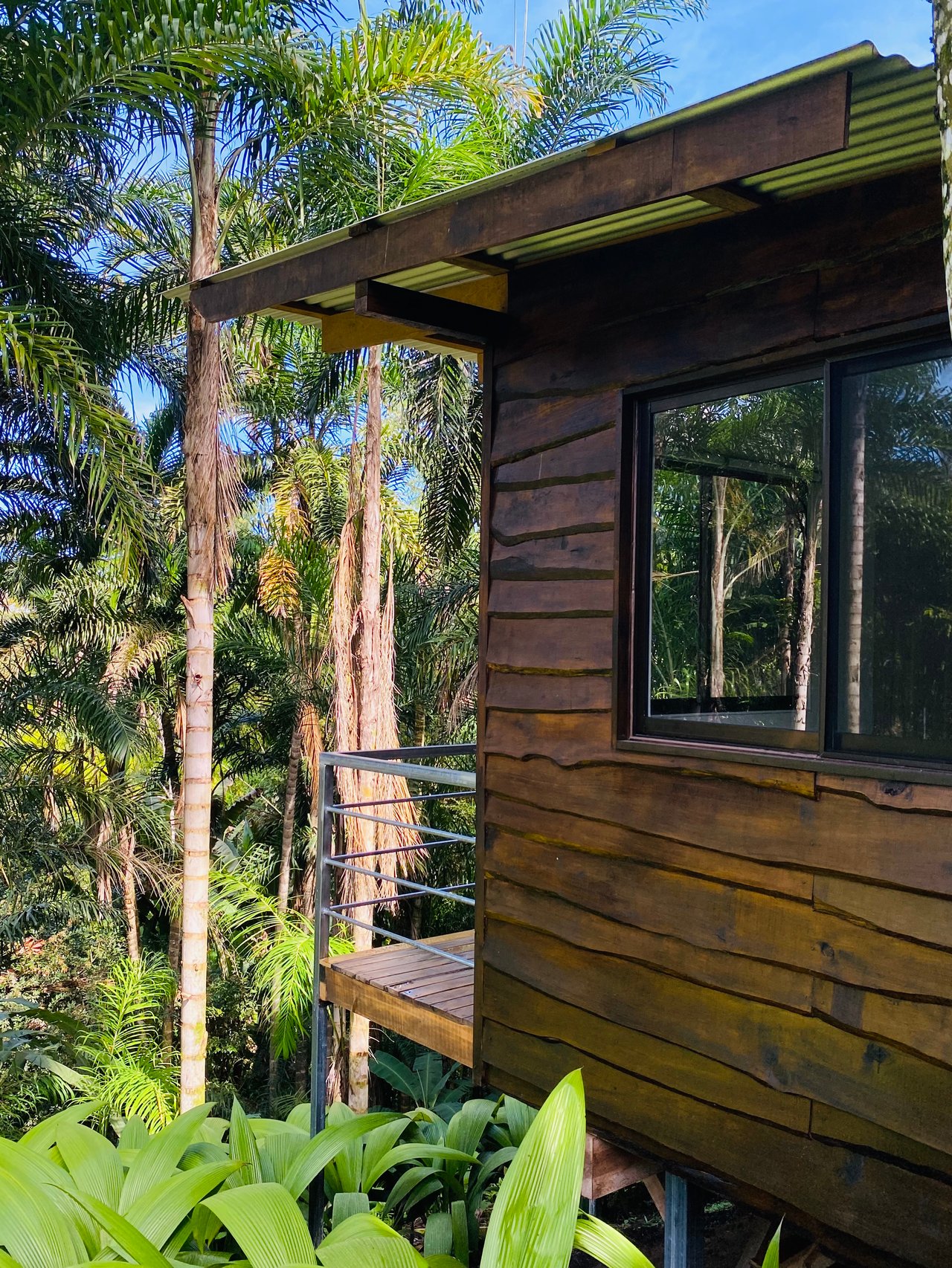 Mountain Oasis with House and Guest Cabin in Las Brisas, San Vito 