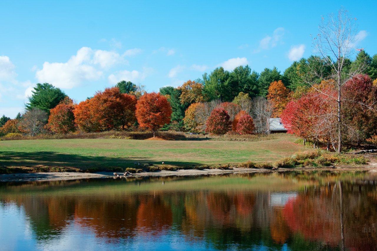Red Brook
