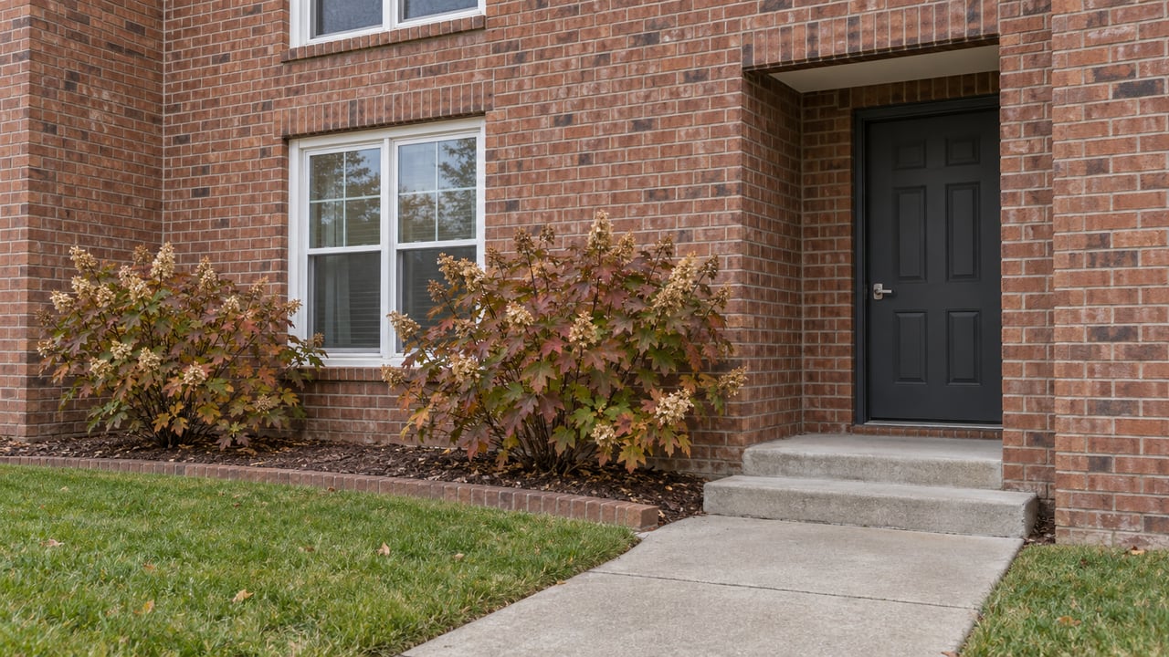 Red-brown brick townhome entrance with a charcoal door, white window trim, shallow concrete steps and autumn oakleaf hydrangeas beside a small lawn.