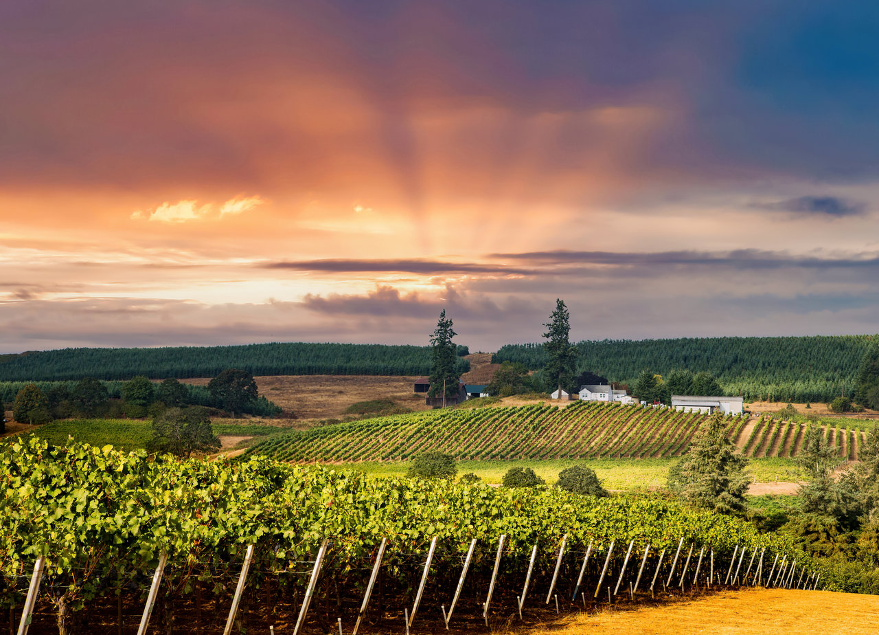 Southern Oregon and Wine Country